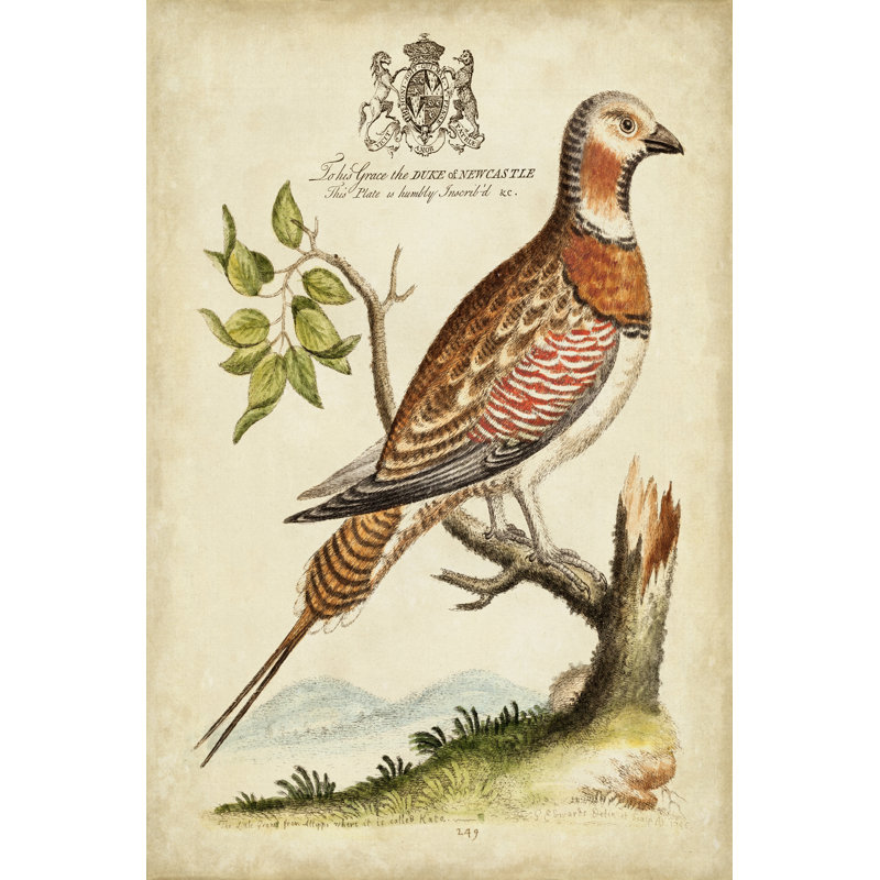 Regal Birds I 1 Piece Wrapped Canvas Wall Art, 91cm H x 61cm W x 3.8cm D