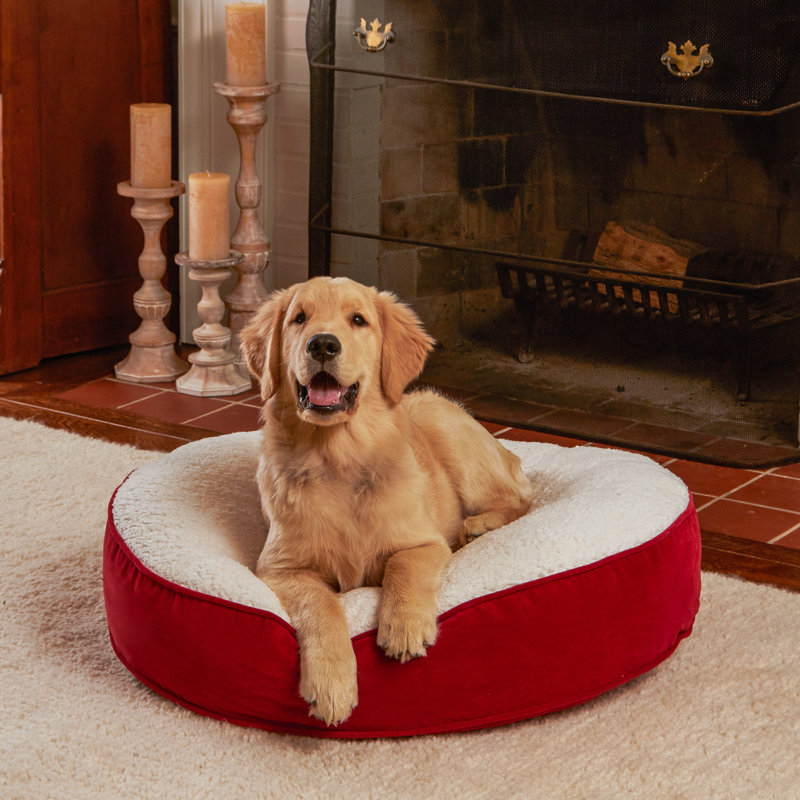 Alyzae Polyester Pet Bed, Crimson, Extra Small (24" W x 24" D x 5" H)