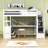 Casner 2 Drawer Loft Bed with Built-in-Desk by Harriet Bee-942134045-942134044