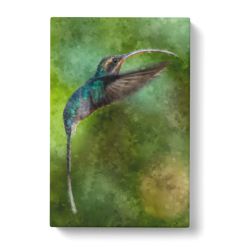 Green Hermit Hummingbird - Wrapped Canvas Print, 76cm H x 50cm W x 3cm D