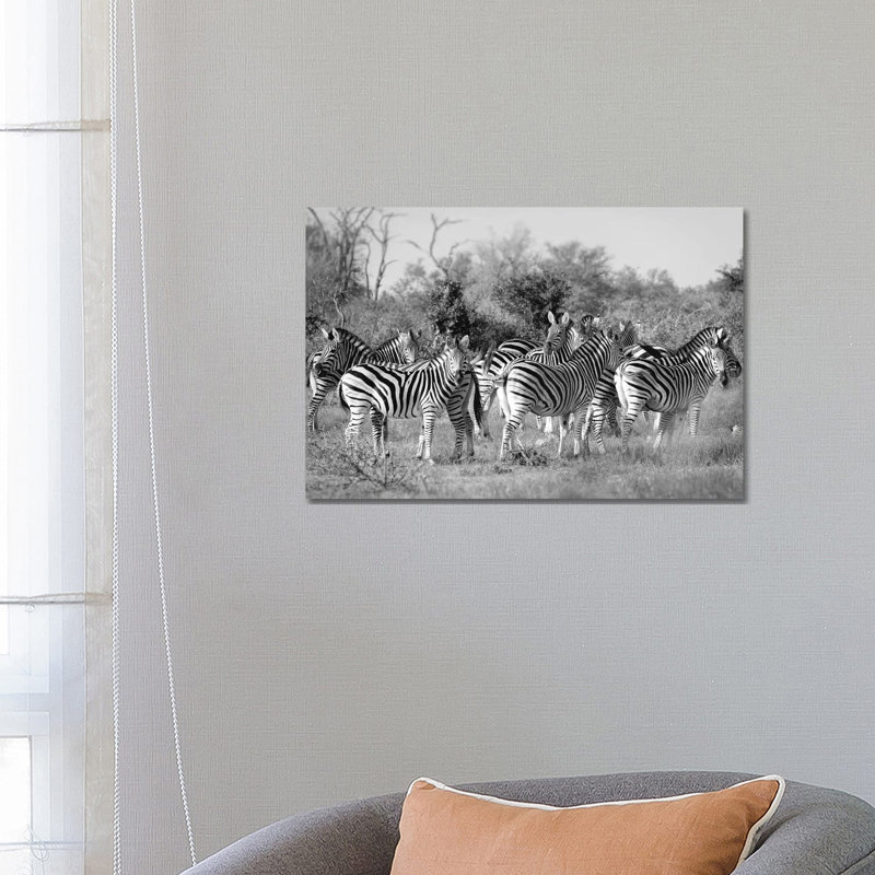 Zebras by MScottPhotography - Wrapped Canvas Print, 66.04 cm H x 45.72 cm W x 1.91 cm D
