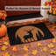 Paillasson Renne Coir 30 x 18 pouces