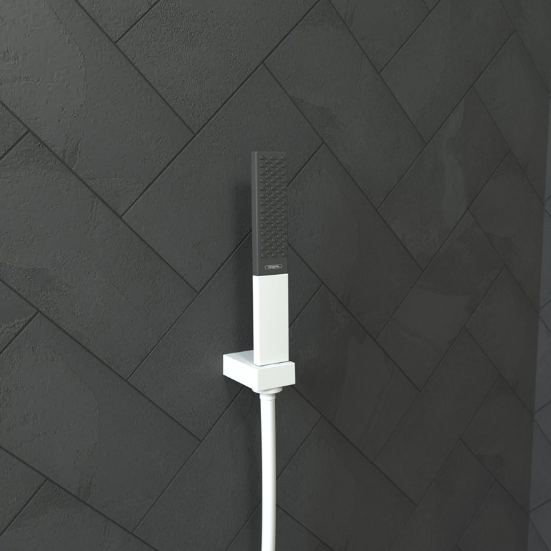 Support de pomme de douche à main Hansgrohe, Blanc mat