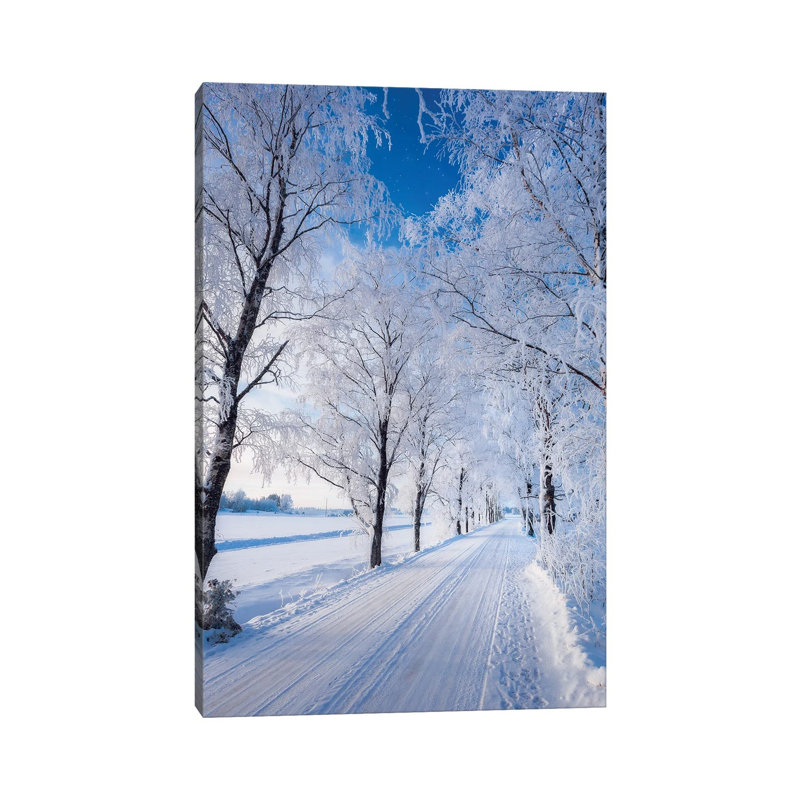 Winter Road by Lauri Lohi - Wrapped Canvas Print, 20.32 cm H x 30.48 cm W