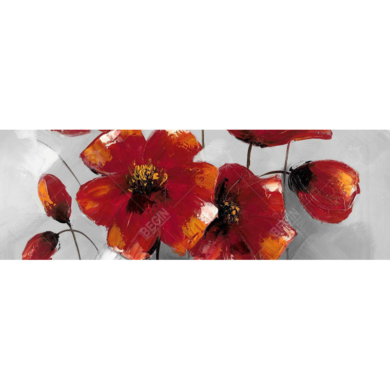 " Anemone Flowers "