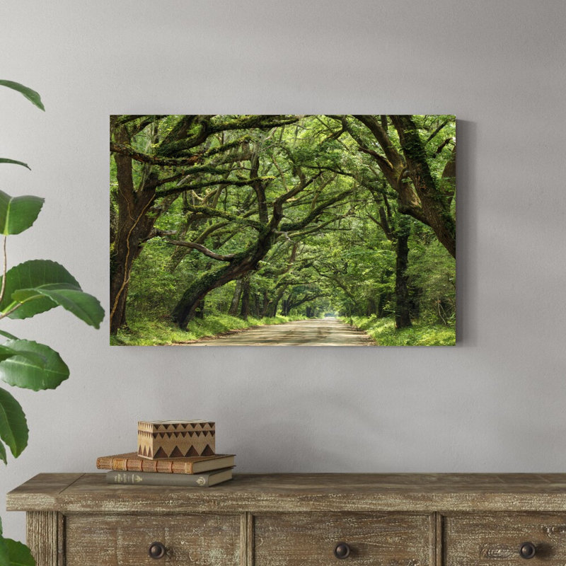 «Canopy Road IV» par James McLoughlin - Photographie sur toile tendue, H 24 po x l 36 po