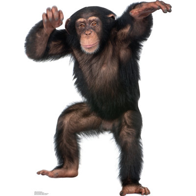 42'' Animals Cardboard Standup