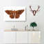 Sable Moth by George Shaw - Wrapped Canvas Print-55323323