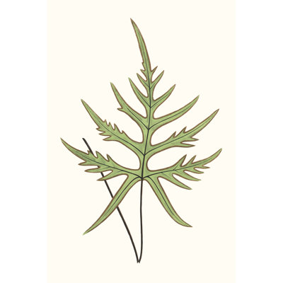 Collected Leaves VIII by Vision Studio - Wrapped Canvas Print