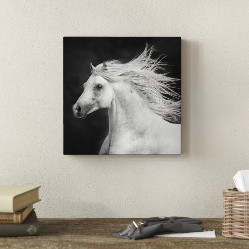 «B and W Horses IV», impression sur toile, H 12 po x l 12 po, Toile tendue