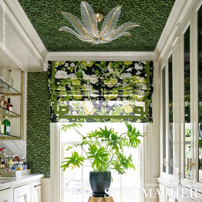 Papier peint Schumacher x Celerie Kemble, Amazone