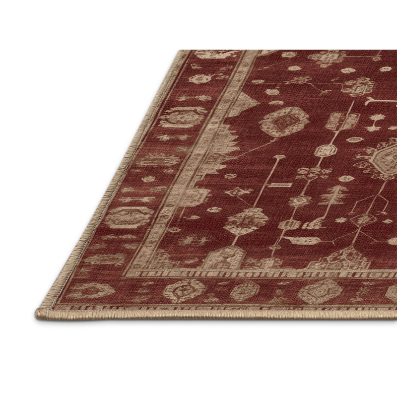 Tapis brun lavable à la machine, Rond 5 pi