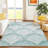 Machine Washable Indoor/Outdoor Chantille ACN2401 Coastal Rug-1402397694
