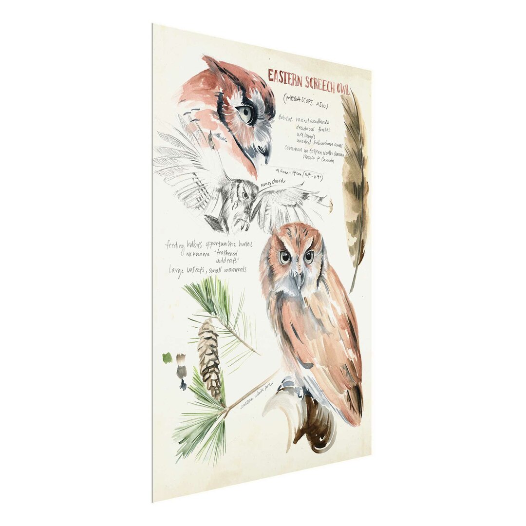 Glasbild Wilderness Journal Owl