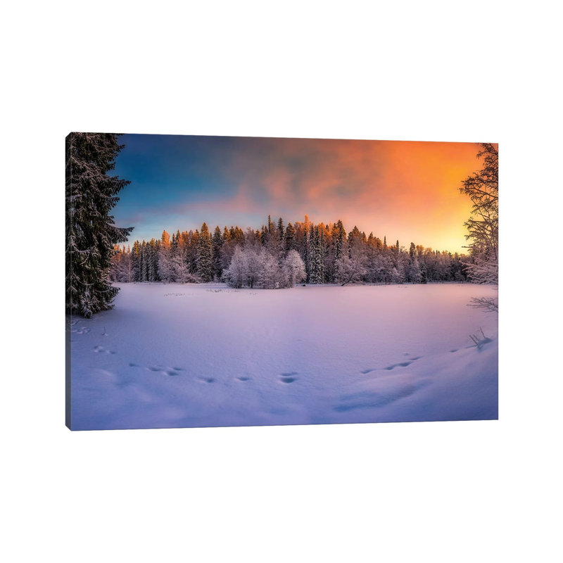 Winter Light by Lauri Lohi - Wrapped Canvas Print, 66.04 cm H x 45.72 cm W x 1.91 cm D
