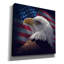 «American Bald Eagle» par Collin Bogle, art mural sur toile-554852630