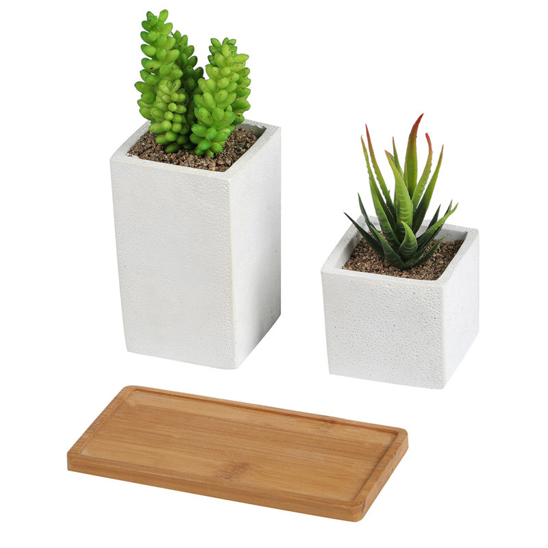 Plantes succulentes artificielles en pot de ciment avec soucoupe