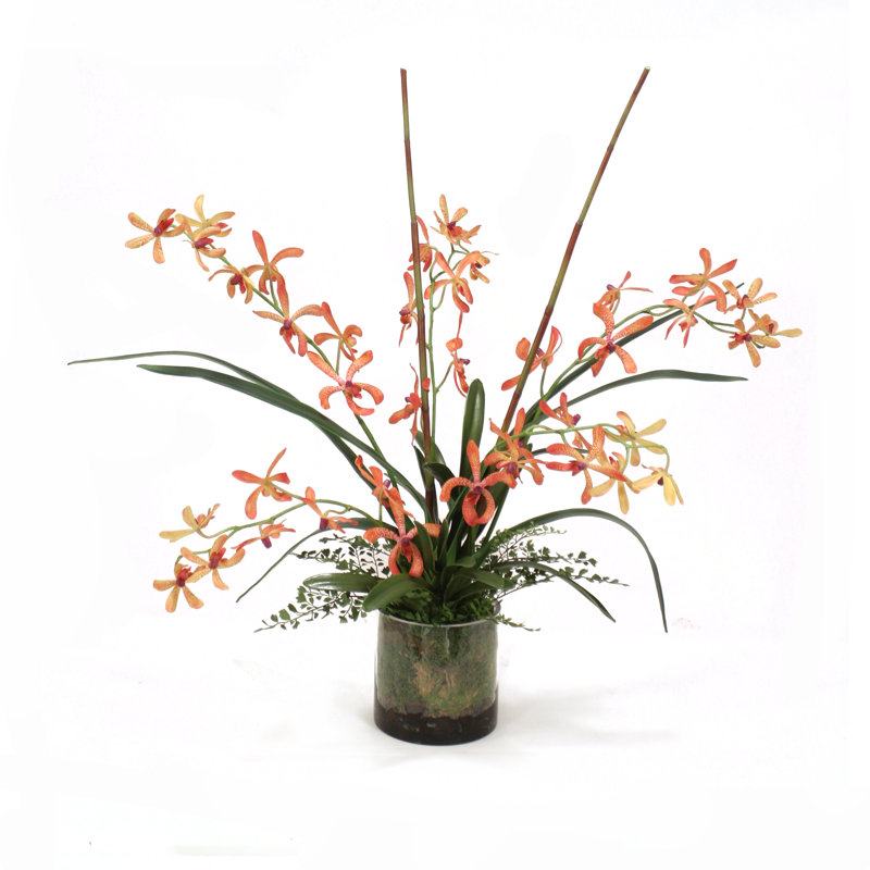 Vanda Orchid Floral Arrangement in Vase