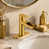 Brushed Gold selected