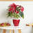2-Pack Smart Self-watering Planter Pot-116069313