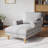 Upholstered Chaise Lounge With Adjustable Backrest