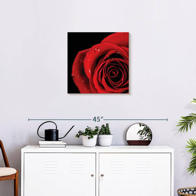 Harnek Pop Of Red Rose