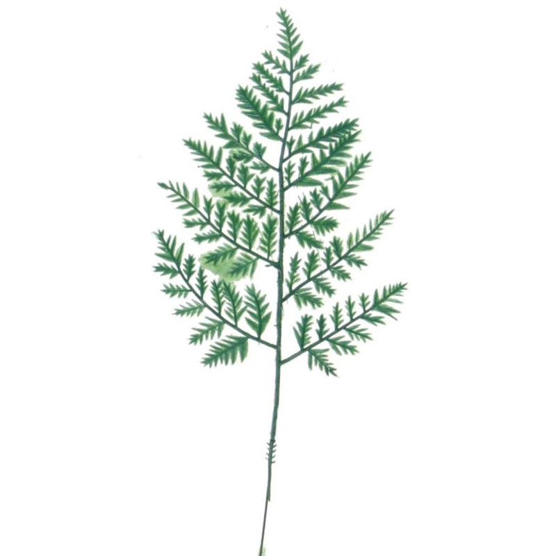 Ensemble de 2 branches artificielles