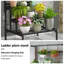 Support pour plante Ryelynn-214548988