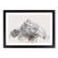 Mountain in Scotland - Framed Print-56915458-56915461