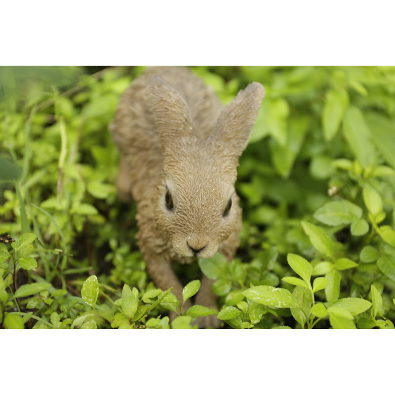 Hare Cub Running Statue
