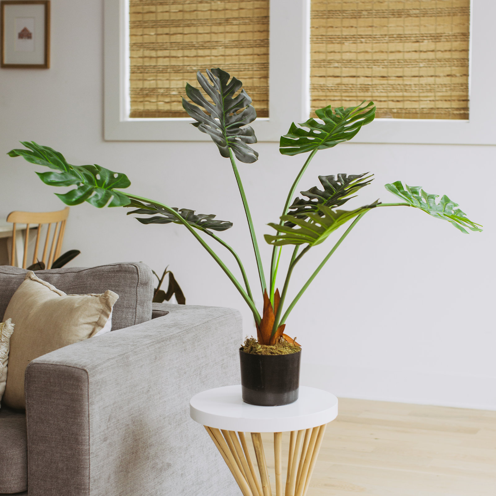 Faux Monstera Plant in Pot, 1, 36" H x 15" W x 15" D