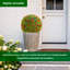Ensemble de 2/4 boules de fleurs topiaires artificielles avec chaînes suspendues pour le patio, le jardin, le mariage et la décoration intérieure-552794096-552794098-552794110