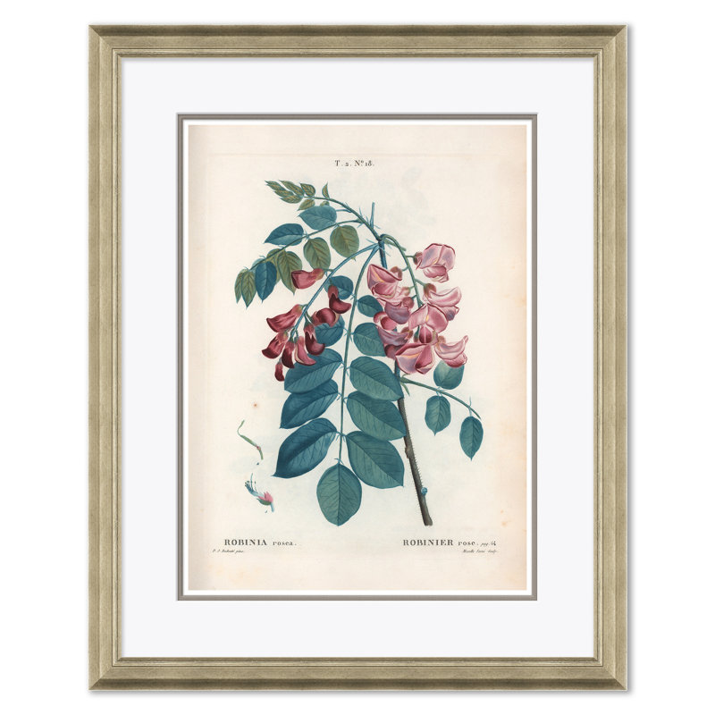 Aesculus Hippocastorum & Bristly Locust Giclee Print by Paul Cezanne