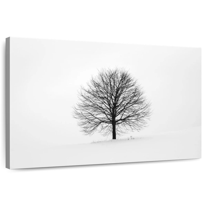 Arbre solitaire Harnek
