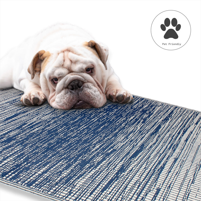 Tapis d'extérieur imperméable en plastique à paille Kensi, Brooklyn - Bleu, Rectangle 6 pi x 9 pi