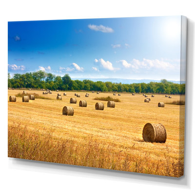 " Straw Bales Landscape "