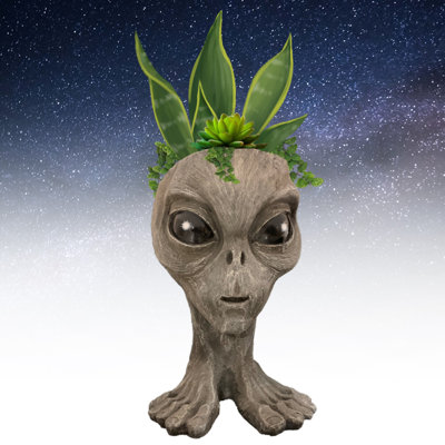 Ancient Alien Extraterrestrial Mother "Aurora" Muggly's Statue Planter