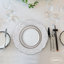 Assiettes de présentation en plastique (ensemble de 100)-864343107