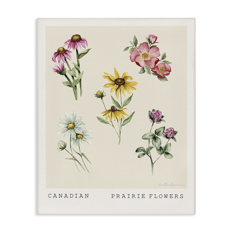 "Canadian Prairie Florals", art mural par Heather Desormeaux, H 20 po x l 16 po