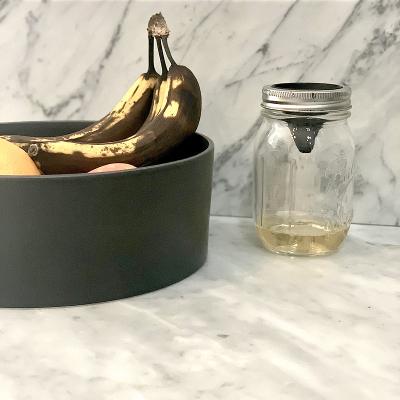 Jarware Fruit Fly Trap Set