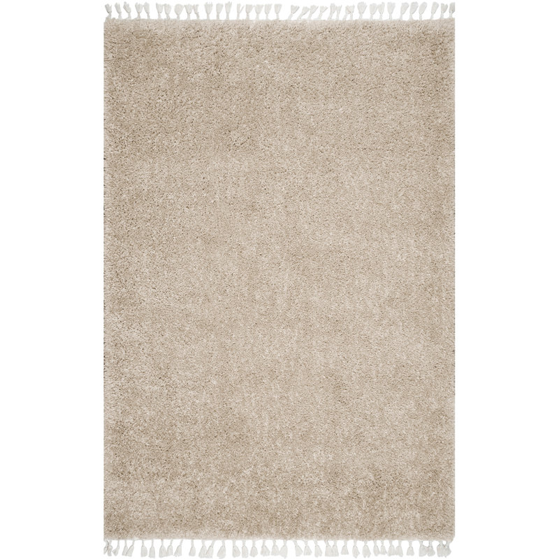 Simms Power Loom Performance Shag Tasseled Rug, Rectangle 2' x 3' 3"
