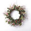 Variegated Holly Berry Christmas Holiday Wreath On Wispy Birch Twig Base
