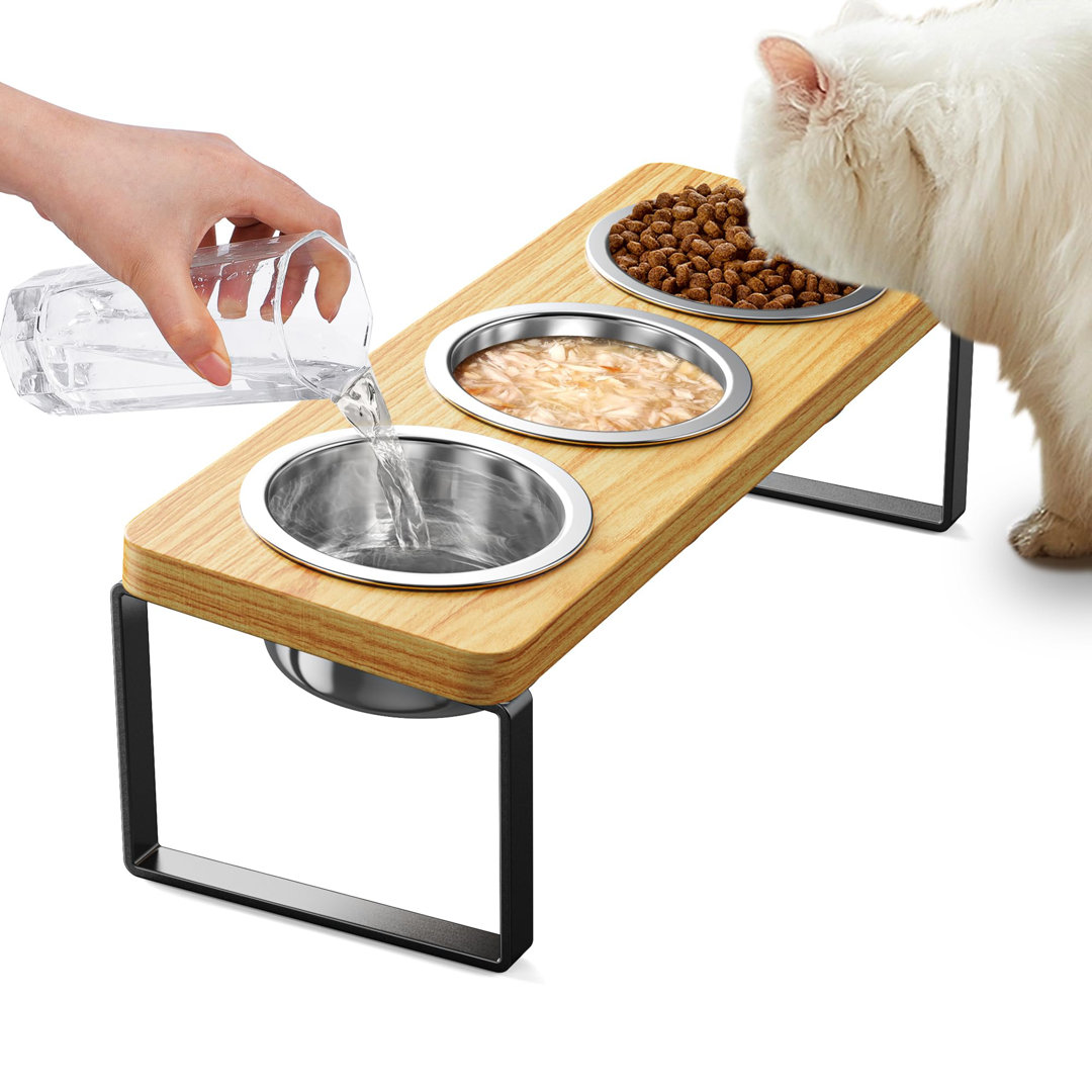 Elevated Cat Bowls With 3 Stainless Steel Bowls | 10° Tilted Anti-Vomiting Raised Cat Food Bowls For Small Cats And Puppies Pet Bowls With Stand ColorLife