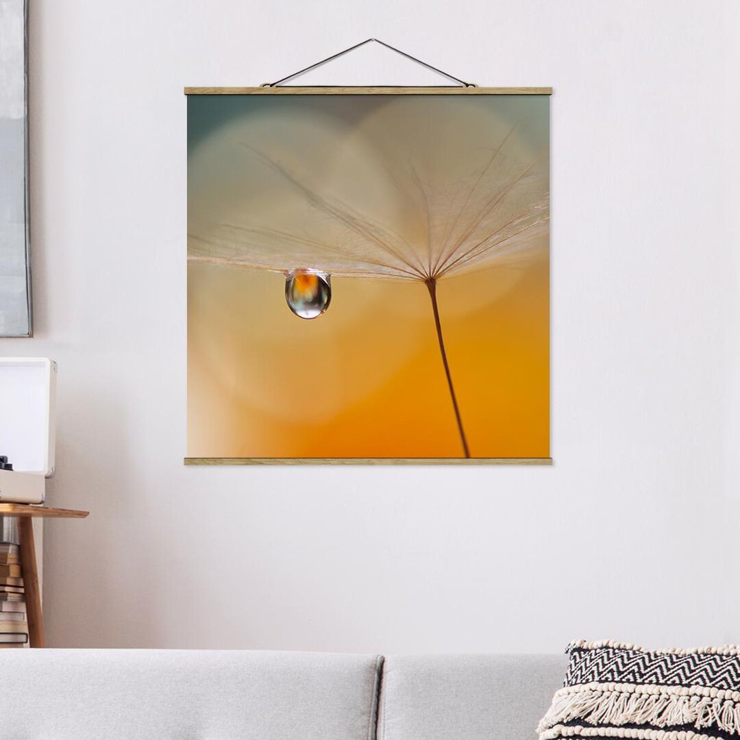 Fotodruck Dandelion in Orange