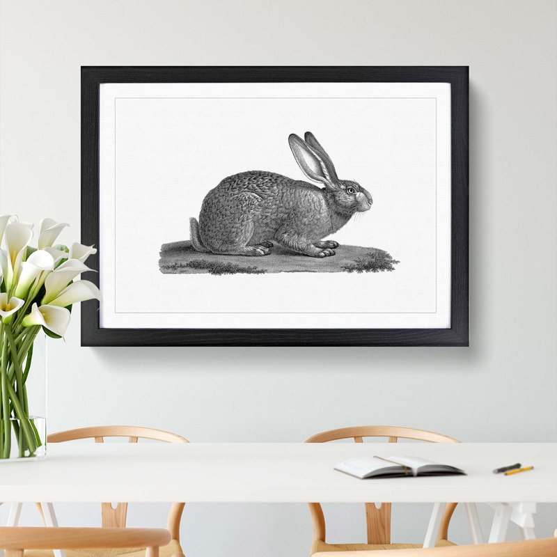 Illustration of a Hare - Picture Frame Drawing Print, 48cm H x 65cm W x 2cm D, Black Framed
