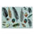 Ambesonne Boho Cutting Board Large Size Bird Feather Retro Vibrant Multicolor