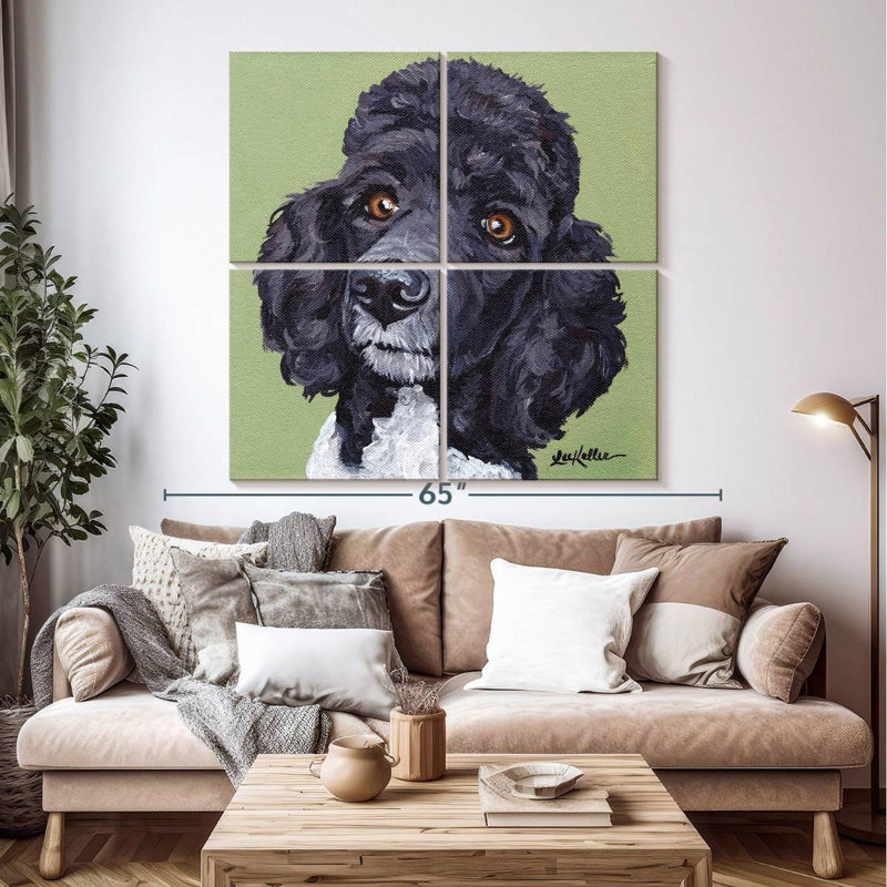 Caniche Brampt standard Tommy, H 74 po x l 74 po