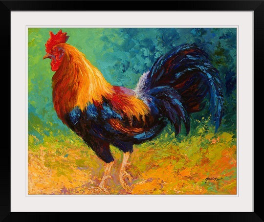 "mr big coq" par, reproduction d’art encadrée Marion Rose, H 23 po x l 27 po x P 1 po