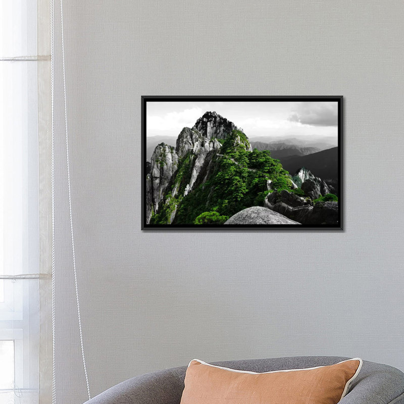«Pure Plan», reproduction de photo sur toile, H 18 po x l 26 po x P 1,5 po, Toile encadrée noire, Pas de tapis