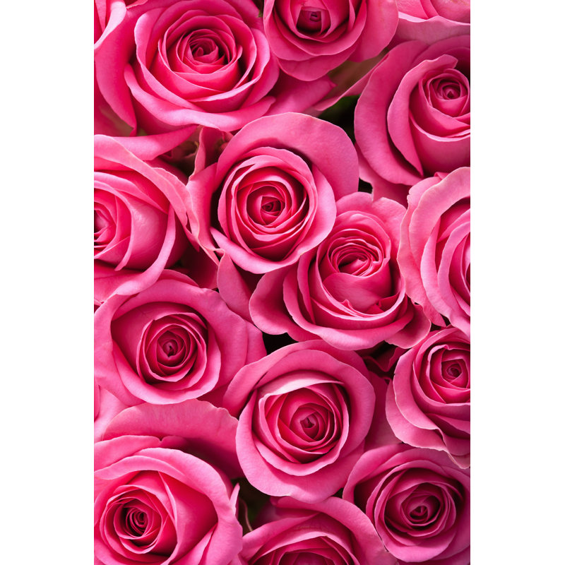 Beautiful Pink Rose Flowers Background by Olgamiltsova - Wrapped Canvas Print, 45.72cm H x 30.48cm W
